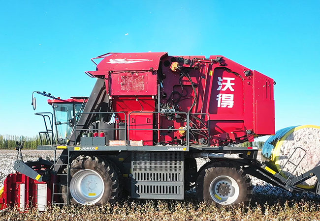 कपास-कटाई3