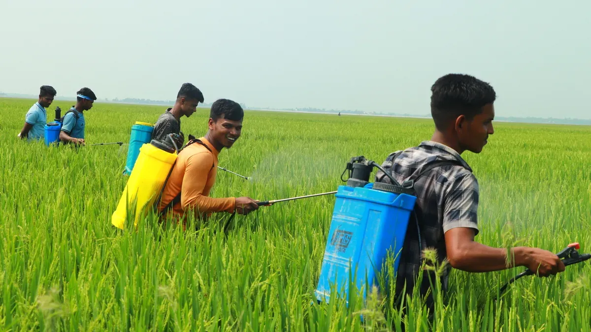 कृषि स्प्रेयर के प्रकार